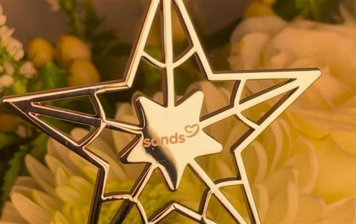 silver star decoration hanging on a tree