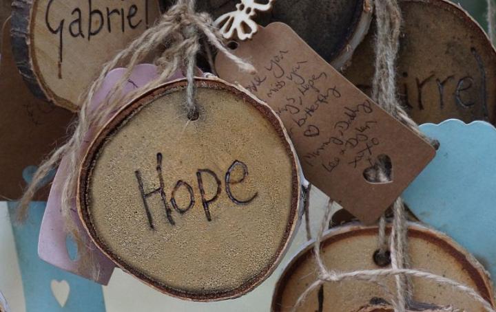 Wooden decoration hanging from a tree with the name 'Hope' on display