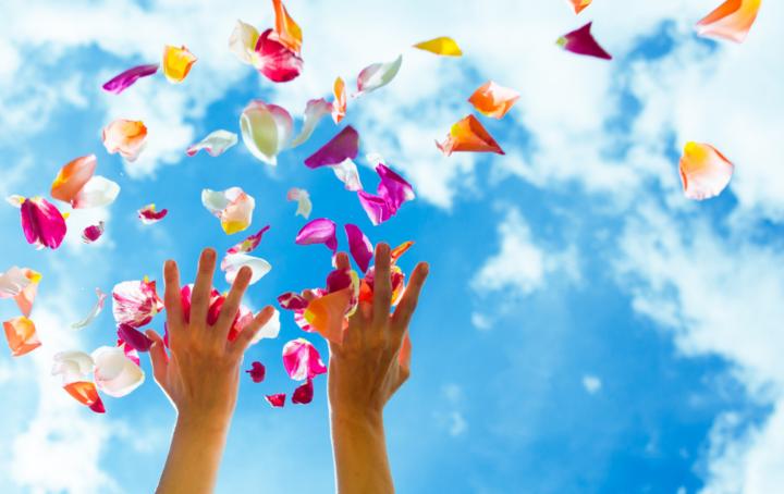 A pair of hands throws colourful flower petals confetti into a blue sky