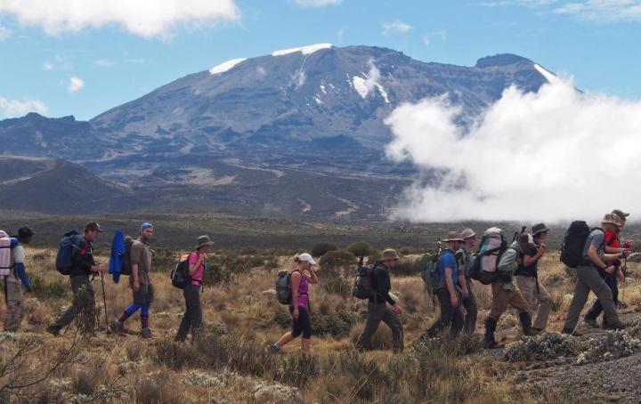 Group of trekkers in a line walking Kilimanjaro trek