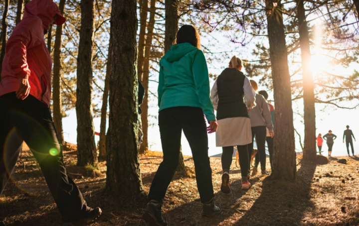 Group of people walking through trees in the sunshine