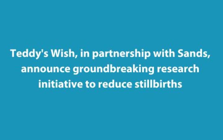 Text that says 'Teddy's Wish, in partnership with Sands, announce a groundbreaking research initiative to reduce stillbirths. 