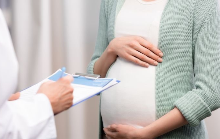 A pregnant woman talks with a health care professional