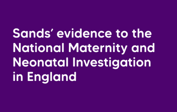 White text on a purple background reads: Sands' evidence to the National Maternity and Neonatal Investigation in England